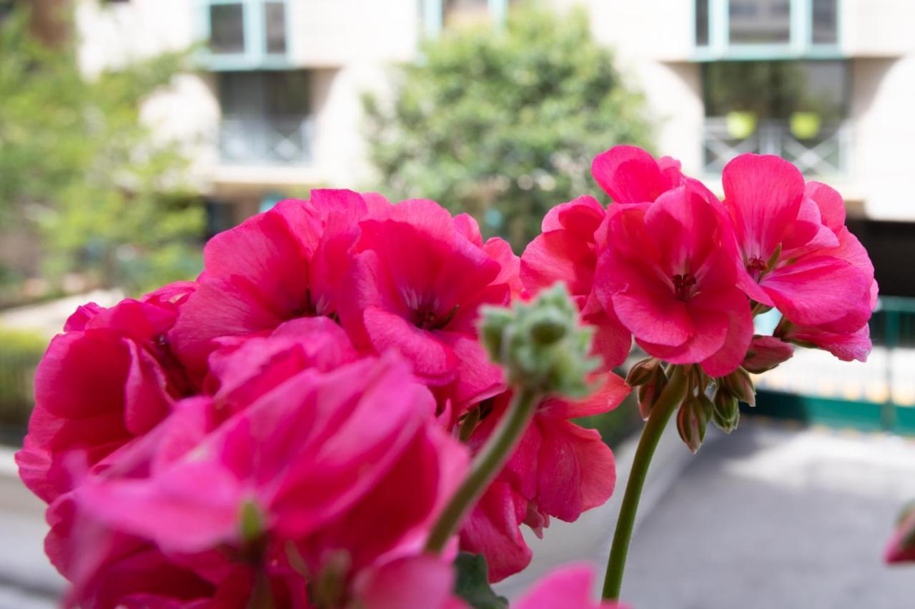 Boutique Apartment La Lavande Free Parking 10 Min Walk Nice Ngoại thất bức ảnh